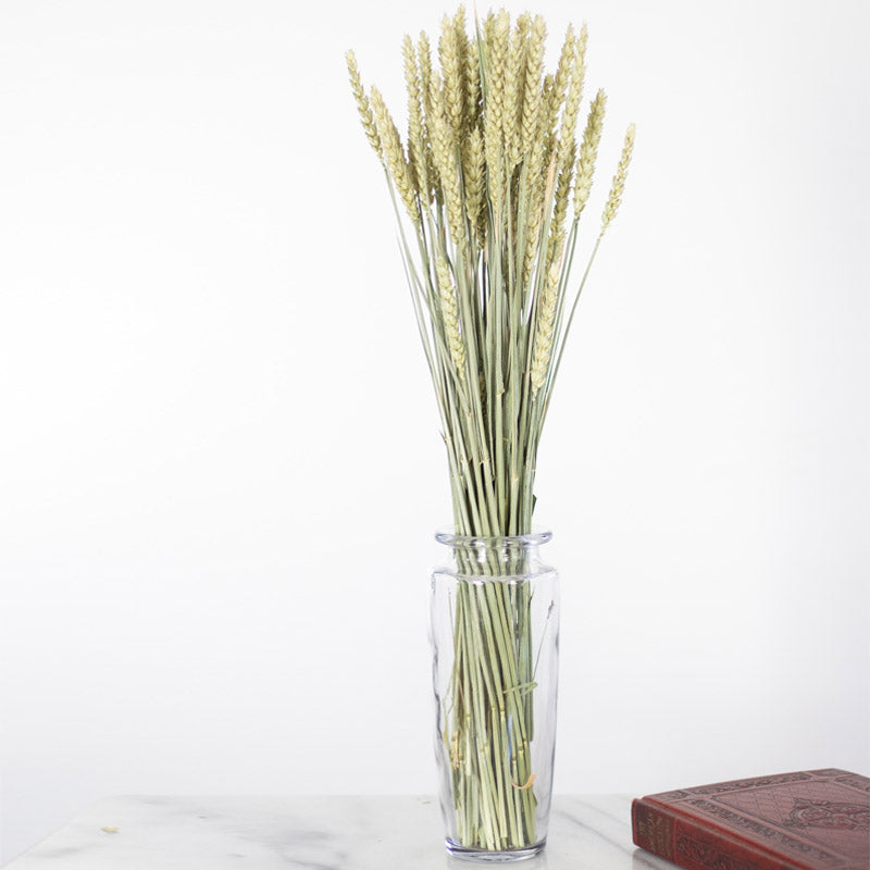 Load image into Gallery viewer, Triticum