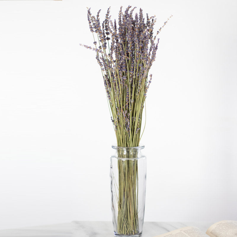 Load image into Gallery viewer, Lavender Bundle