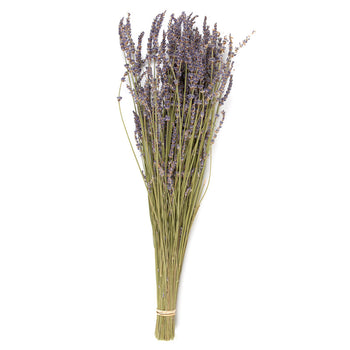 Lavender Bundle